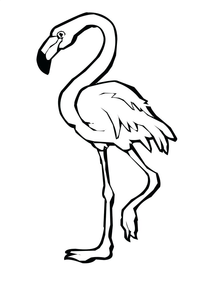 768x994 Simple Flamingo Drawing Pink Flamingo Exotic Bird Line Art Color