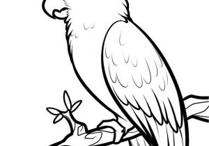 300x210 Simple Bird Line Drawing Bird Cute Lineart
