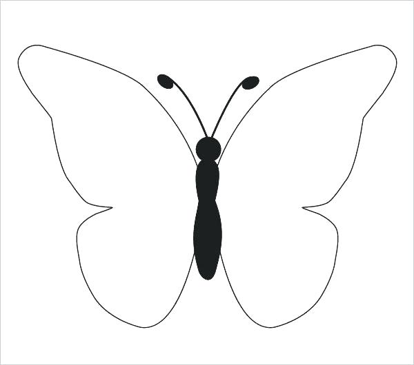600x530 Simple Butterfly Drawing Easy Butterfly Drawings Painting Ideas