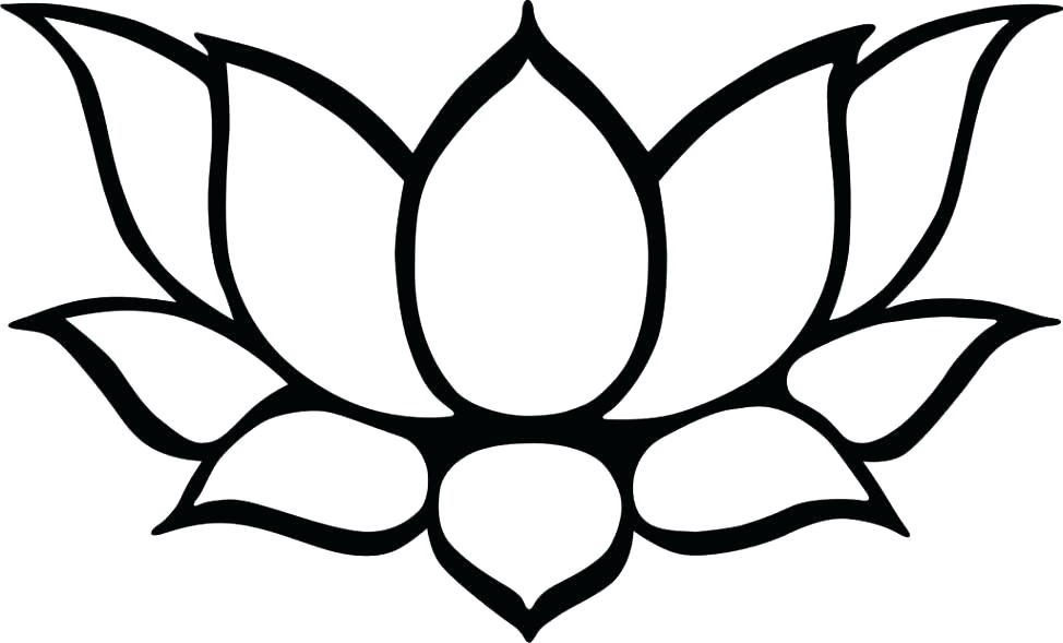 974x589 Flower Drawing Simple