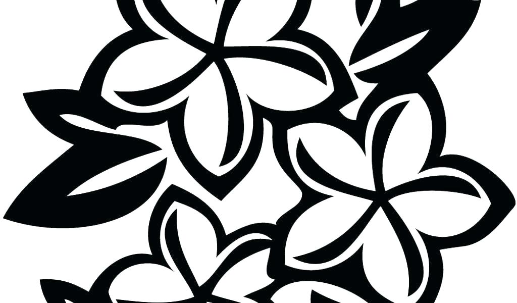 1024x600 Simple Black And White Flower Drawings Large Space Flowers Flowers