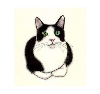 350x331 Huge Collection Of 'black And White Cat Drawing' Download More