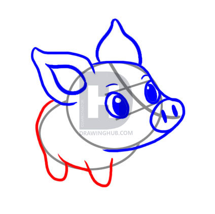 424x422 How To Draw A Simple Pig, Step