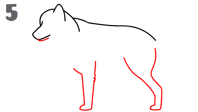 640x365 How To Draw A Wolf