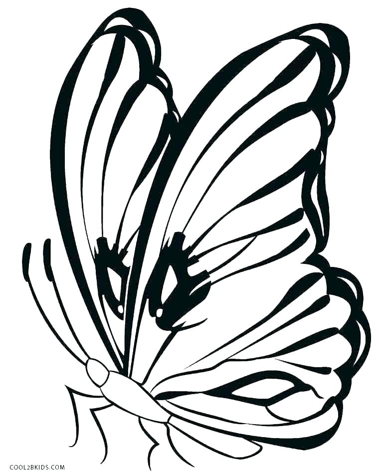 Simple Butterfly Drawing | Free download on ClipArtMag