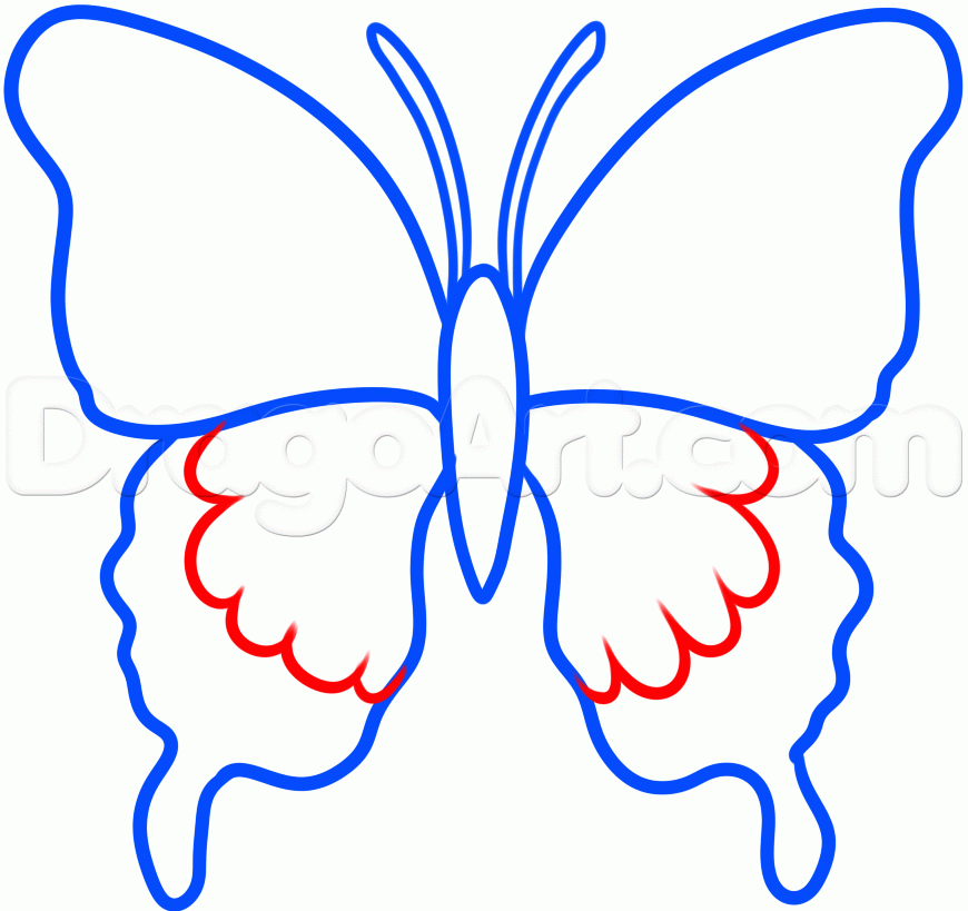 870x819 How To Draw A Black Butterfly, Step