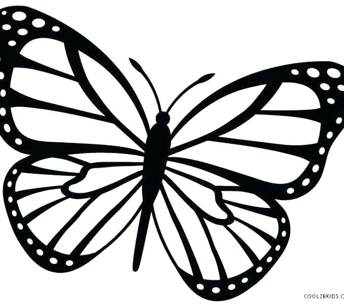 678x600 Outlines Of Butterflies Contemporary Butterfly With Free Butterfly