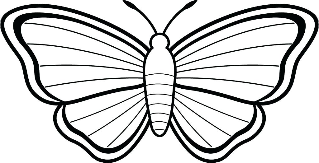 1024x524 Simple Butterfly Outline Free Simple Coloring Pages Coloring Pages