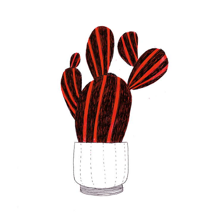 720x720 Cactus Drawings Liz Nugent Illustration
