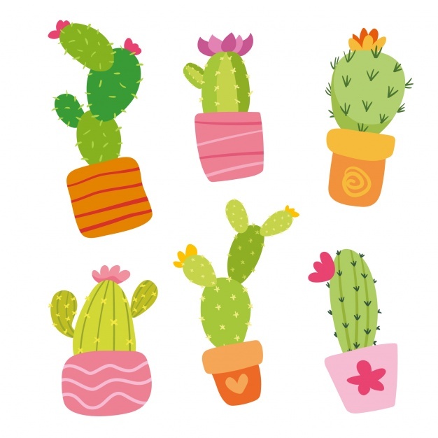 626x626 Cactus Vectors, Photos And Free Download