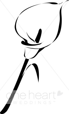 236x388 Calla Lily Drawing Clipart