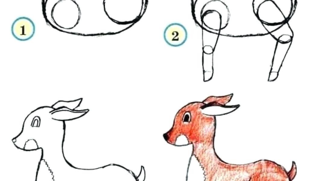 1024x600 Drawing Zoo Animals Download