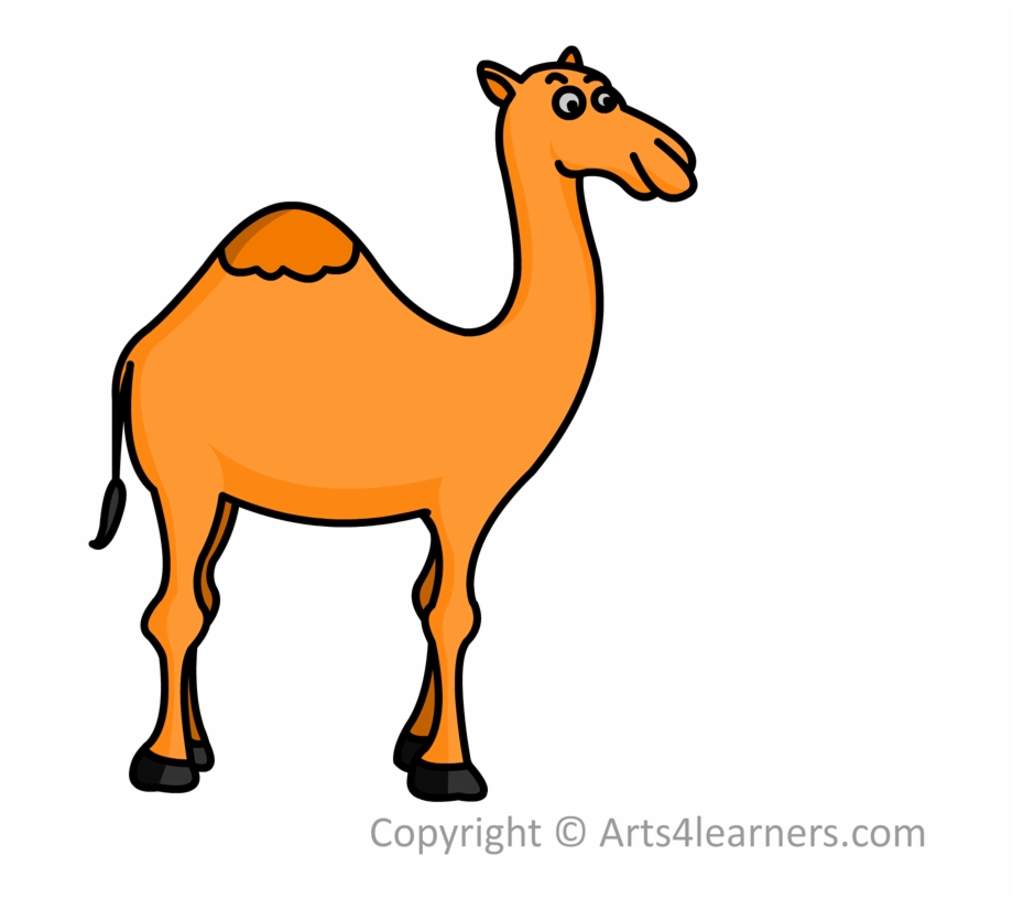 920x816 Drawn Camel Drawing