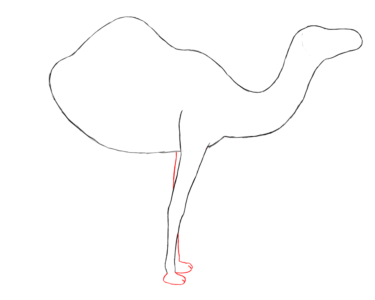1280x1024 How To Draw A Camel