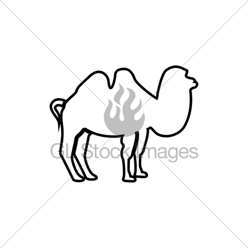 500x500 Camel It Is Black Icon Gl Stock Images
