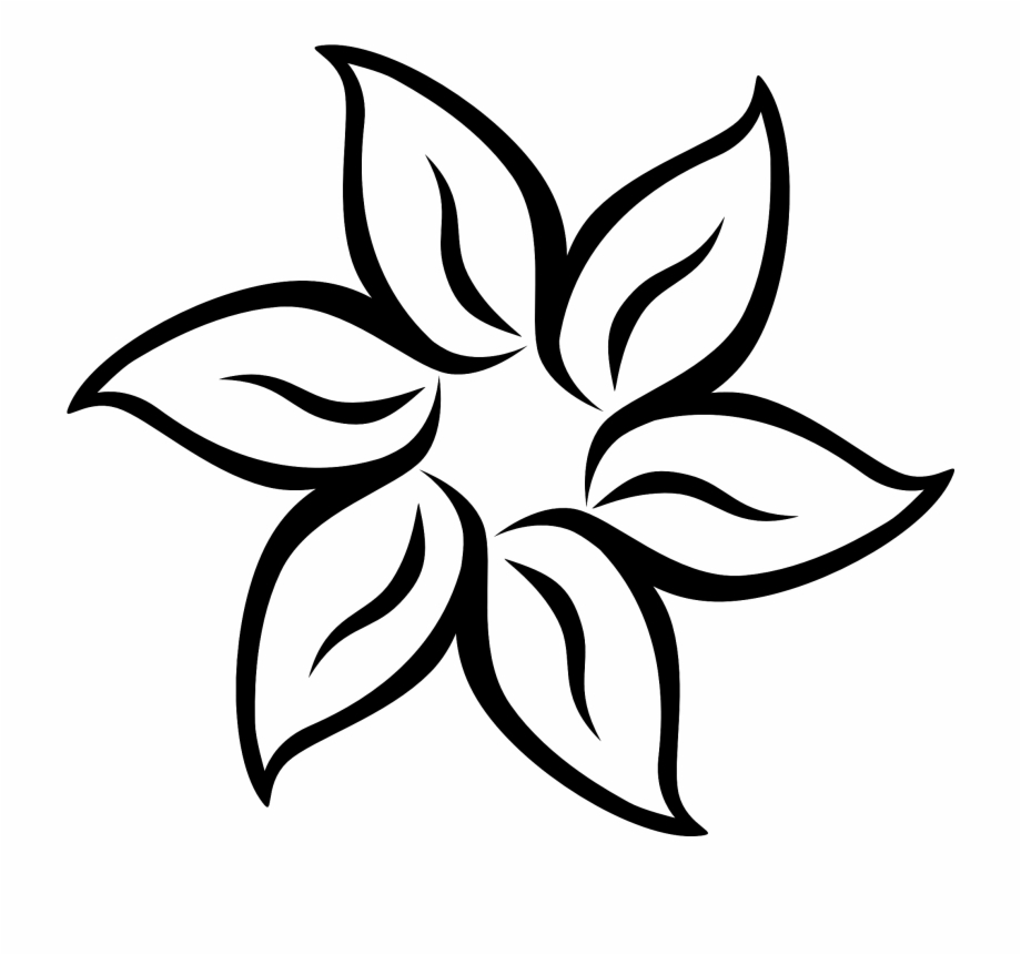 920x861 Draw Flowers, Drawing, Flower, Petal, Line Art Png