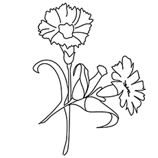 Simple Carnation Drawing | Free download on ClipArtMag