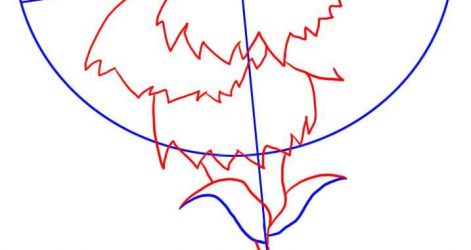 471x250 Carnation Drawing Tutorial Cagney Flowers Step