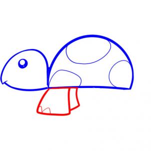 302x302 How To Draw How To Draw A Turtle For Kids