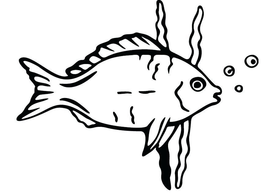 900x640 Drawings Of Cartoon Fish Easy Way To Draw Cartoon Fish