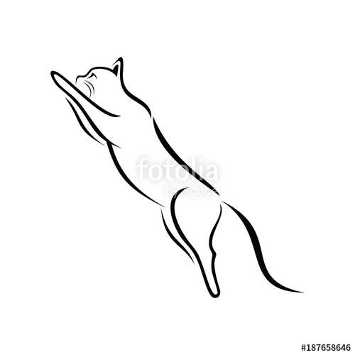 500x500 Cat Simple Line Art Vector Illustration Stock Image And Royalty
