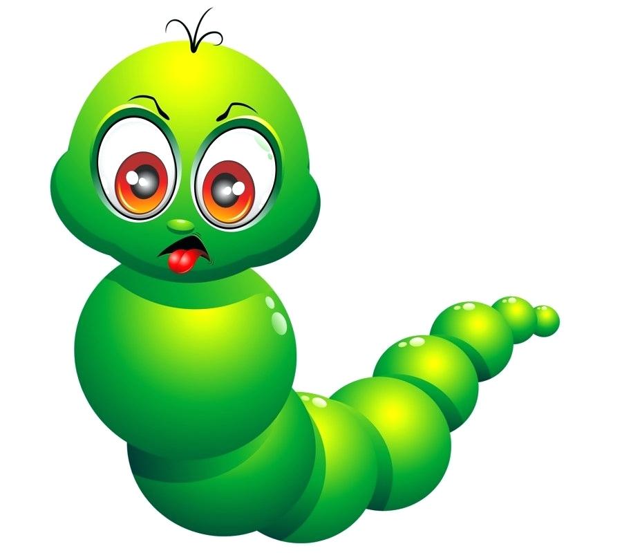 900x800 Drawing Of Caterpillar