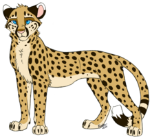 221x200 Other Animal Character Designs Cats