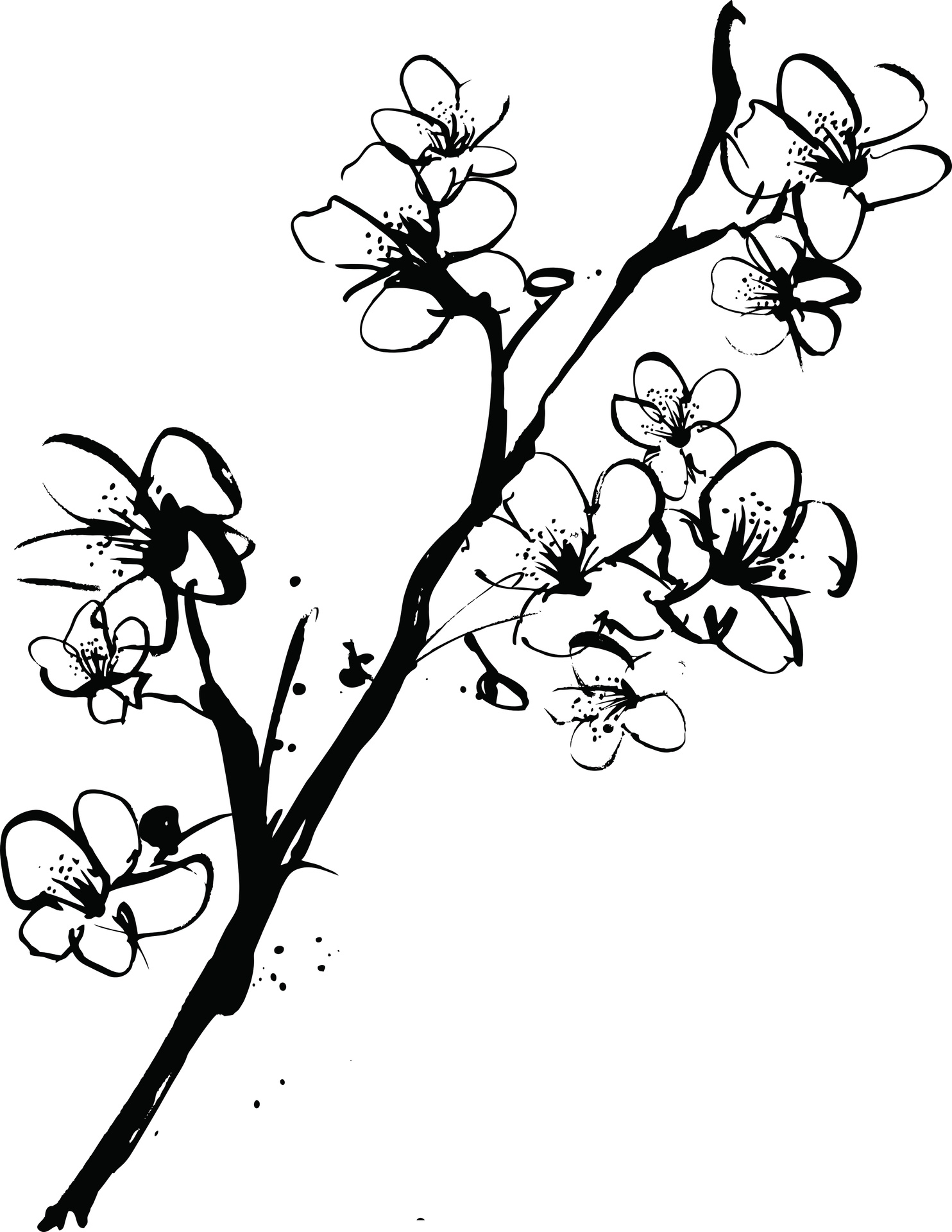 Simple Cherry Blossom Drawing Free Download On ClipArtMag