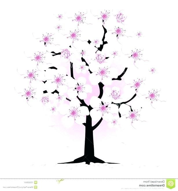 615x658 drawing cherry blossom pink cherry blossom japanese cherry