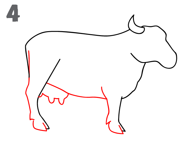 624x484 How To Draw A Cow