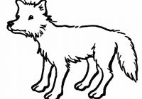 200x140 Coyote Coloring Pages For Kids Printable Coloring