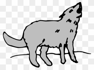 320x239 Gray Animal Coyote Howling