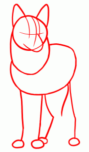 178x302 How To Draw Coyotes, Prairie Wolf, Step