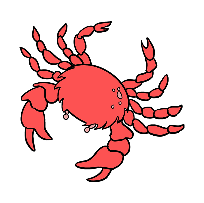 680x678 How To Draw A Crab