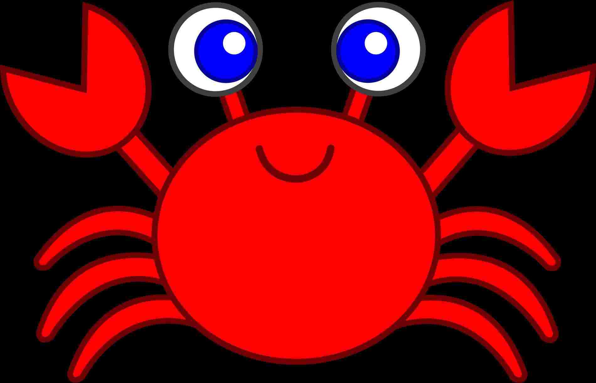 1900x1221 Simple Crab Drawing For Kids