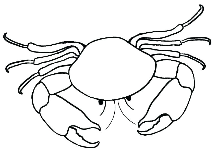 850x608 Crab Coloring Pages Blue For Teens