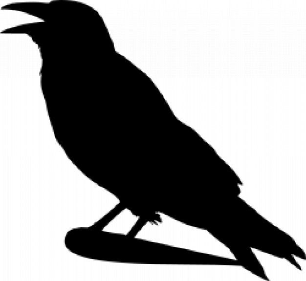 Simple Crow Drawing
