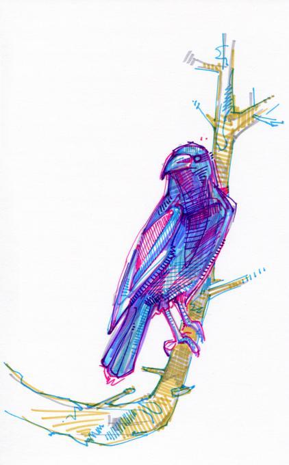 422x680 Crow Drawing Nature Drawings Pictures Drawings Ideas For Kids