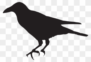 320x218 Free Png Crow Clip Art Download