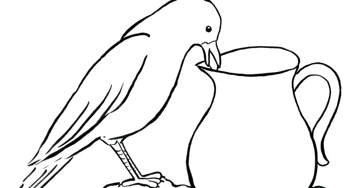 1200x630 How To Draw Crows Crow Drawing Draw Crow With Pencil