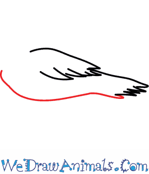 300x350 How To Draw A Crow