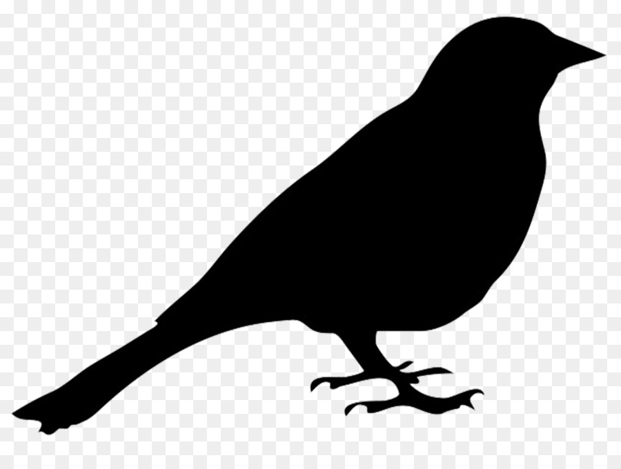 900x680 Crow Drawing Simple For Free Download