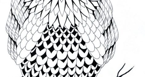 471x250 Owl Drawing Outline Tags Wolf Face Drawing Owl Easy How