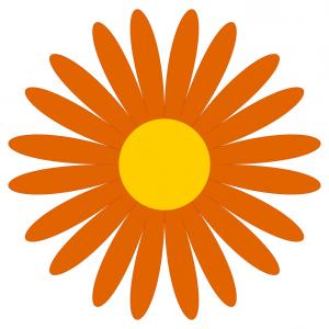 300x300 Drawing Flower Of Daisy Vector Geekchicpro