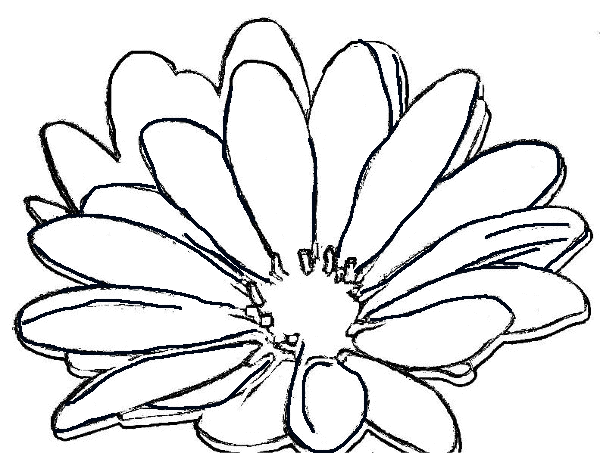 600x453 Simple Daisy Drawing Purple Daisy Coloring