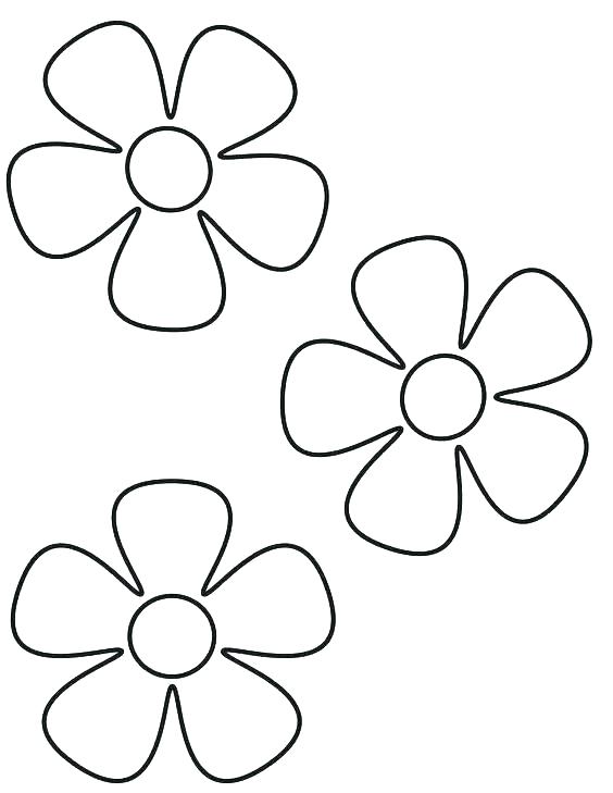 564x729 Easy Hawaiian Flowers To Draw