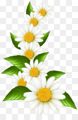 260x400 Daisy Clip Art Png