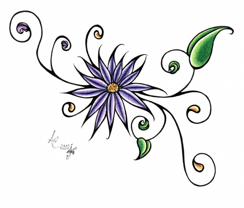 800x682 Daisy Tattoos And Designs