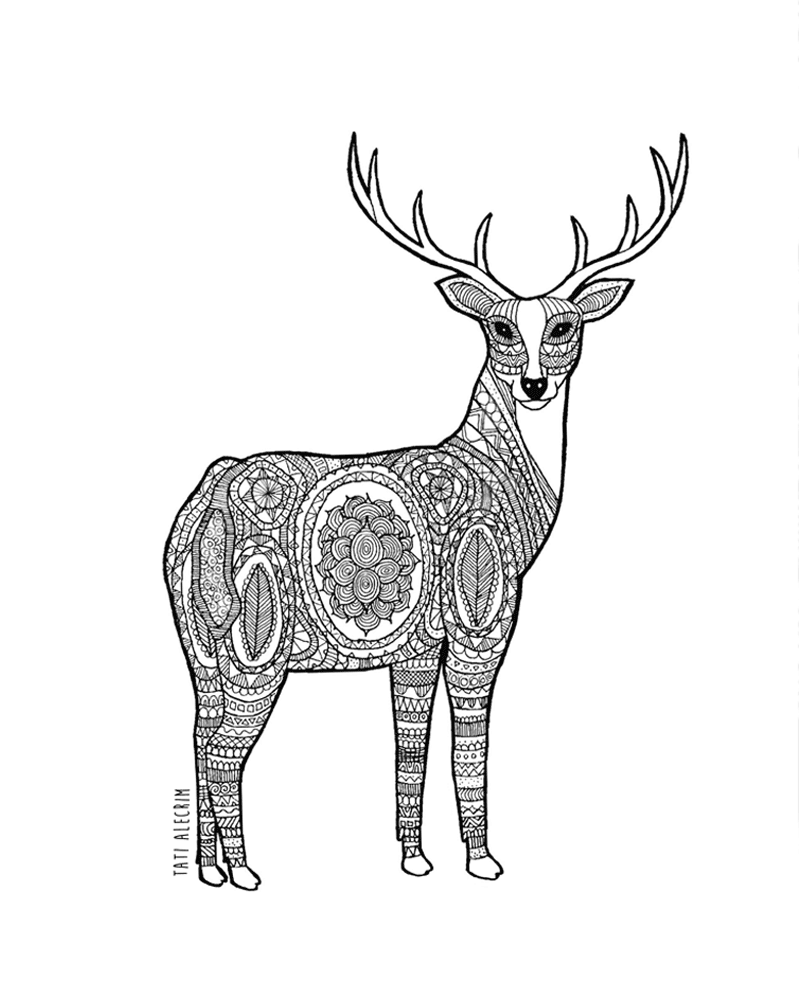 800x1000 Deer Drawing Free Download