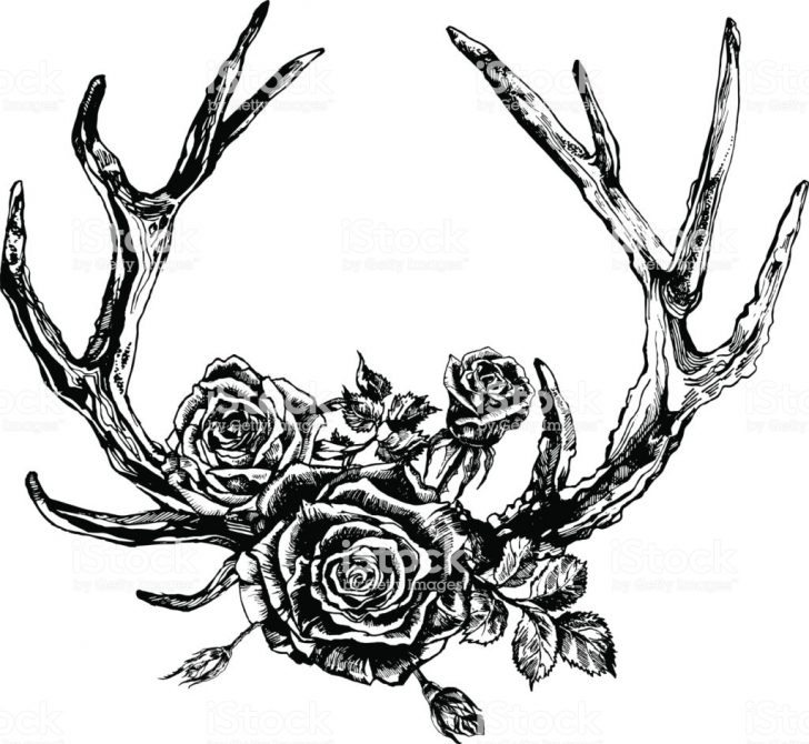 728x670 Drawing Designs Antler Cartoon Simple Small Deer Flowers Iydunetwork